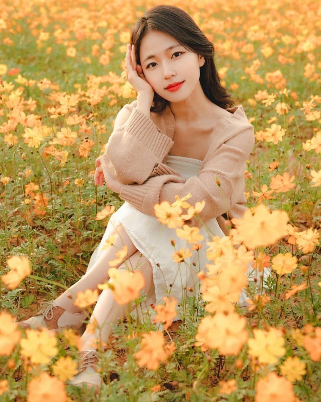 有什么美女壁纸