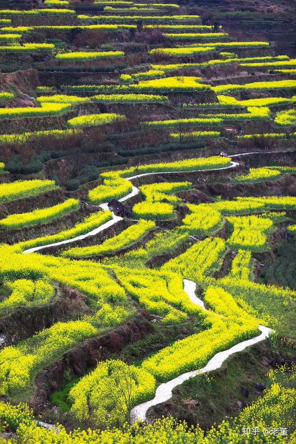 覆卮山,千年梯田