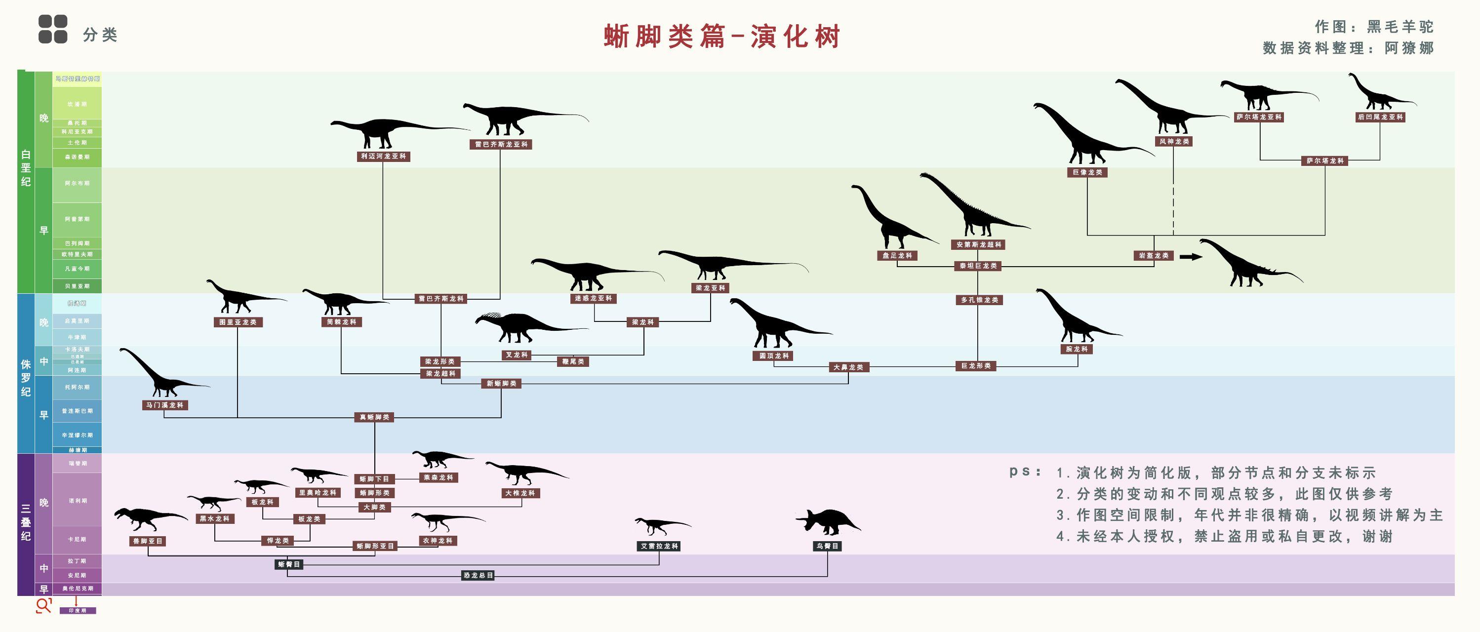 有没有比较详细的蜥形纲和兽脚类恐龙的演化树