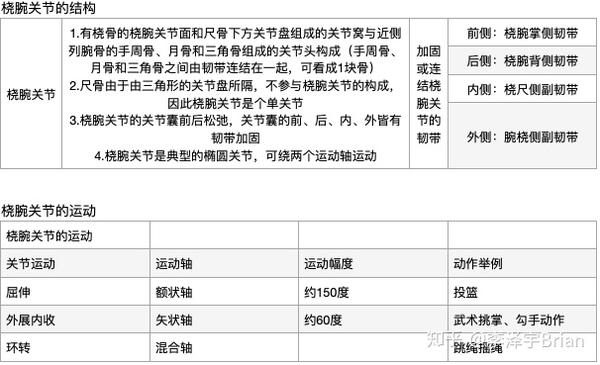 四,桡腕关节