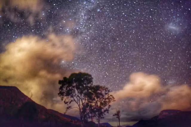 森林和北极星 既生怡,何生亮 加州的夜晚,宁静而又安详,路灯的光芒