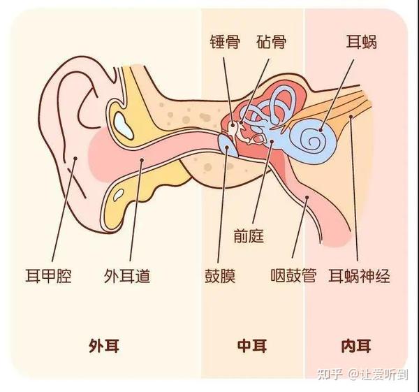 先天性耳聋