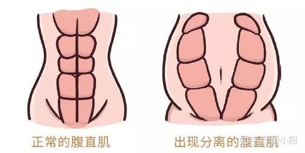 妈妈在怀孕期间,为了更有利于胎儿的成长和分娩, 体内的孕激素变化