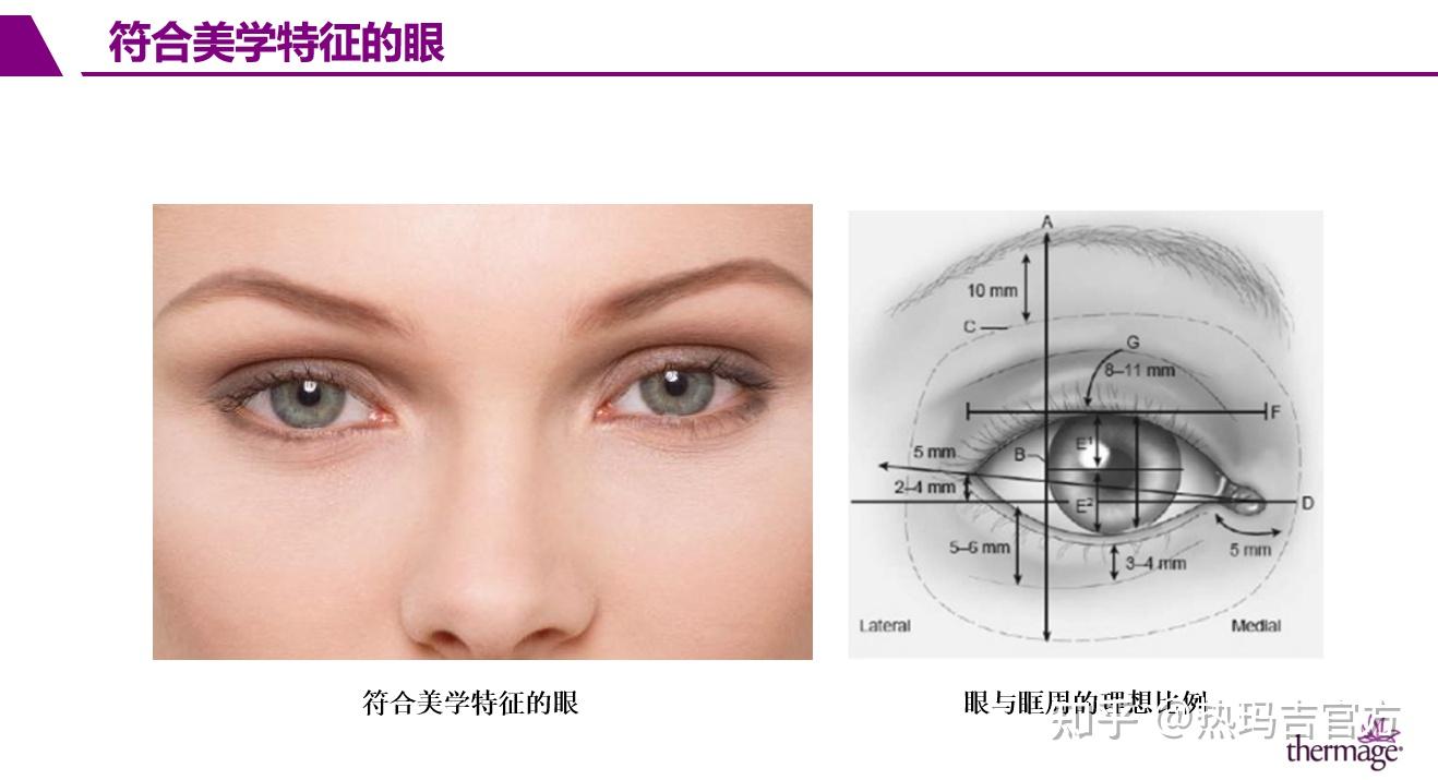 "符合美学特征的眼"是指具有美丽外形和理想比例相平衡的眼睛,健康