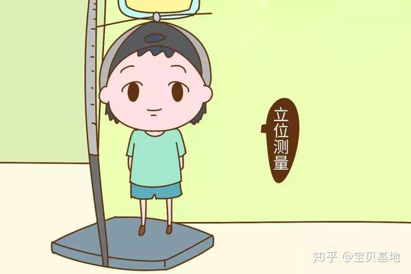 3,头围
