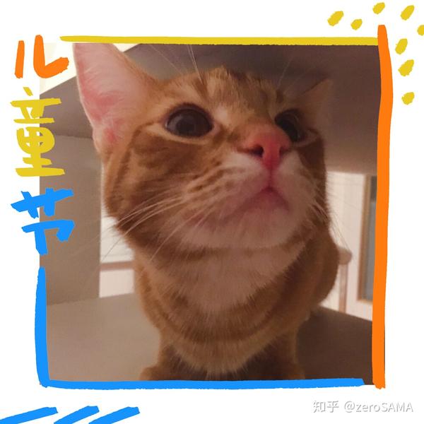 买活零食给猫当助手a零食?北极熊仓鼠视频破解图片