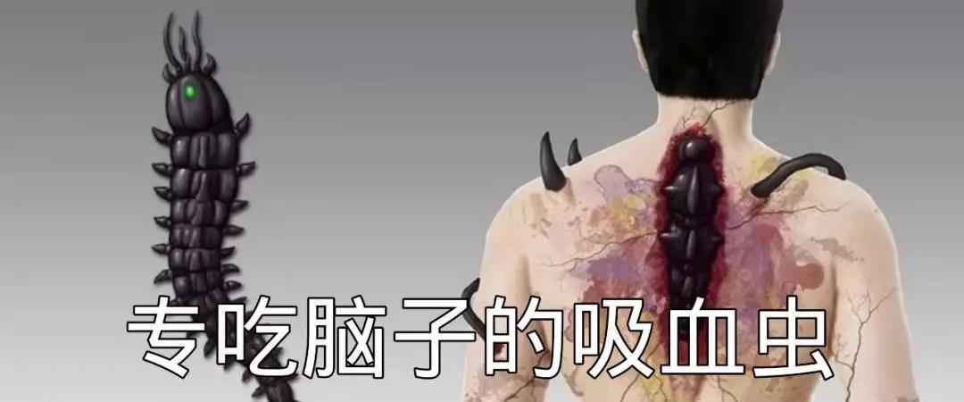 专吃脑子的吸血虫|「关越档案036」