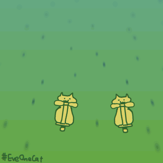 魔性又搞笑的猫咪gif动图来了