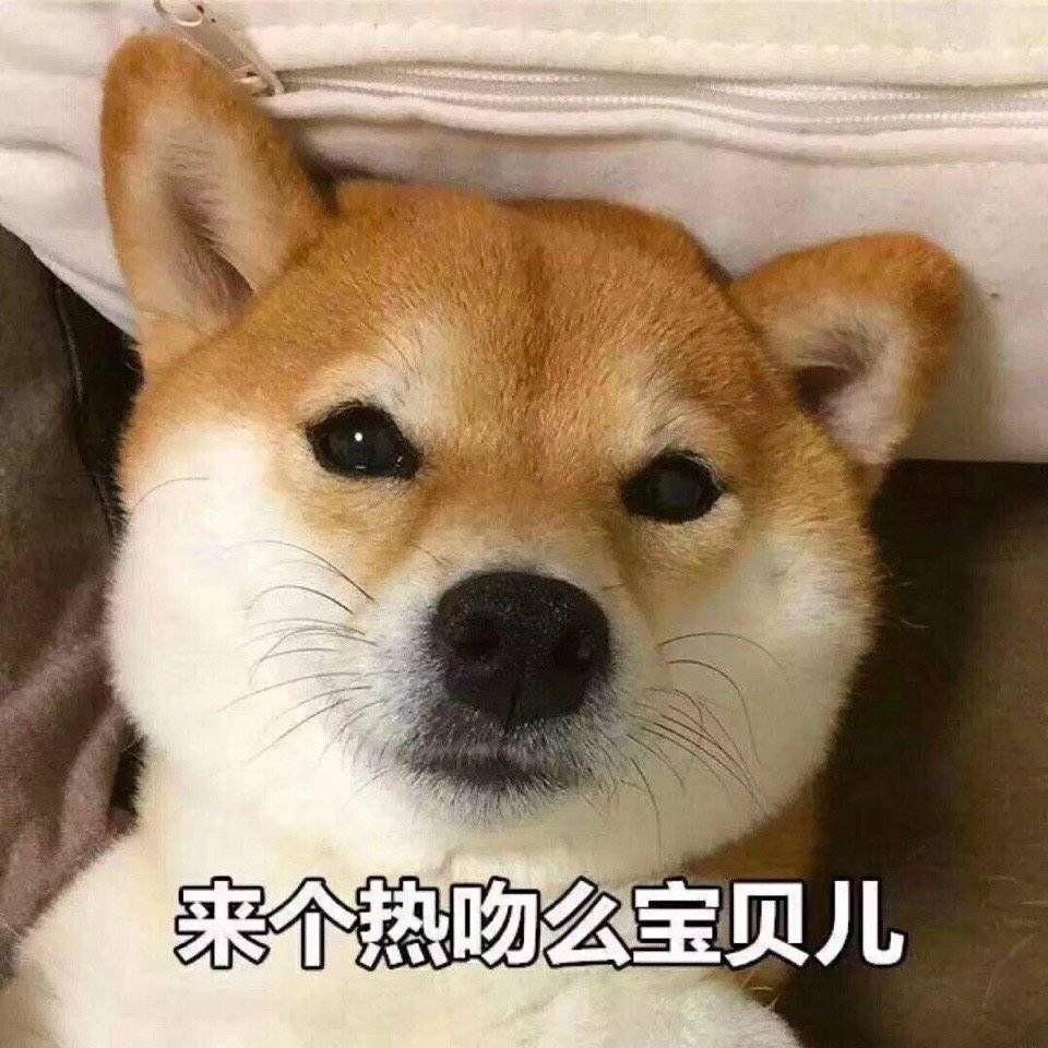 表情包 