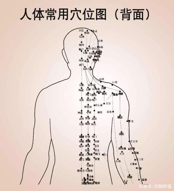 在发,故养发可养肾; 肾在窍为耳及二阴,平时搓耳或按摩阴囊及睾丸周围