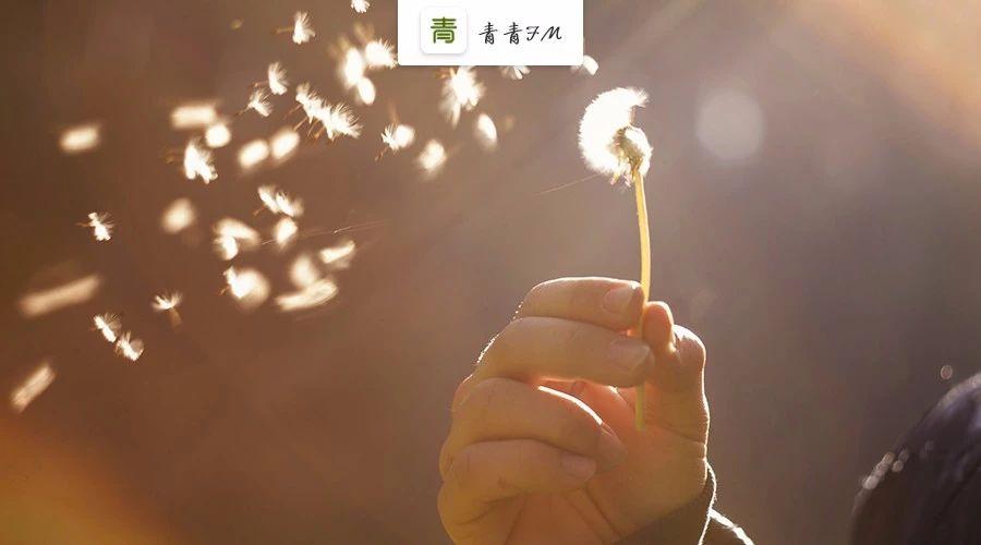 你总要学会一个人孤军奋战