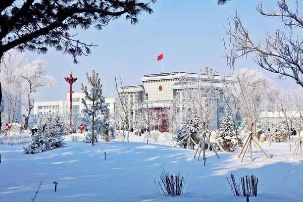 简约成朵朵梅香,正如坚守这片土地上的乌苏监狱民警傲雪迎霜,风雨无阻
