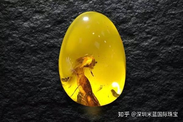 缅甸琥珀中高收藏价值的品种