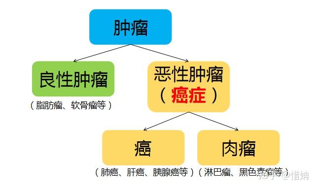 肿瘤是指机体在各种致瘤因子的作用下,局部组织细胞增生所形成的新