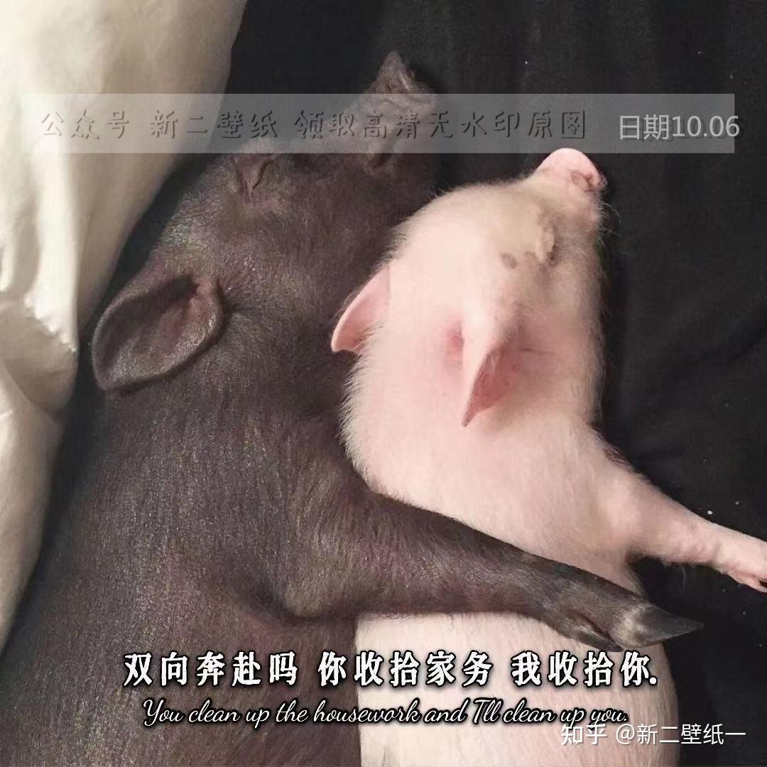 双向奔赴吗你收拾家务我收拾你图片背景图壁纸抖音热门朋友圈封面
