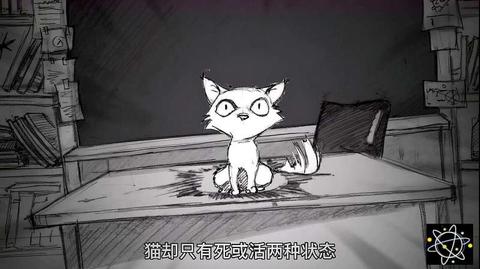 "薛定谔的猫"到底藏着什么秘密?为啥会争论一个世纪?看完懂了 haokan.