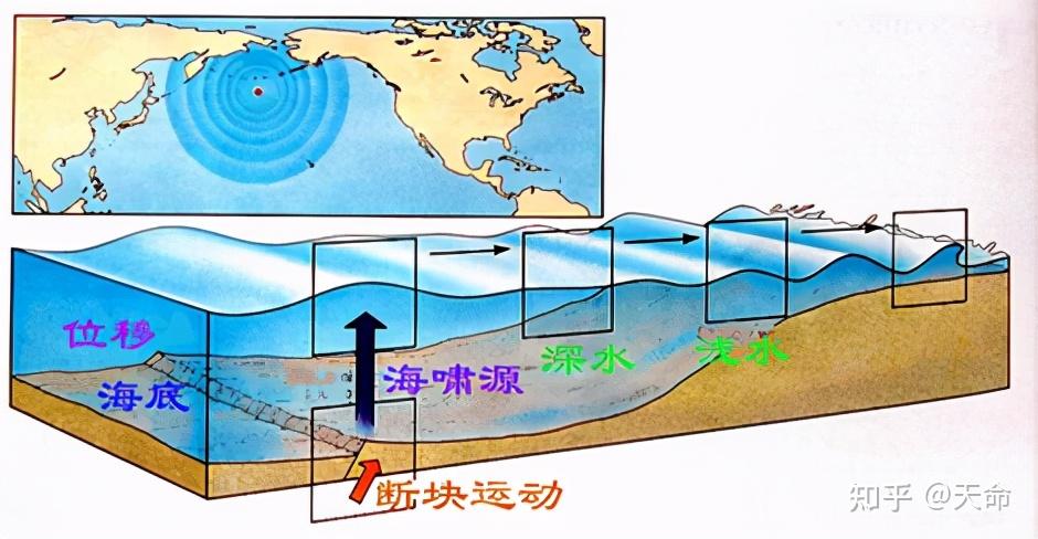 如果50米高的海啸来袭是跑向内陆好还是迎面扎进水里好