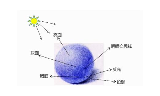 绘画中的明暗关系该如何处理三大面五大调到底是什么