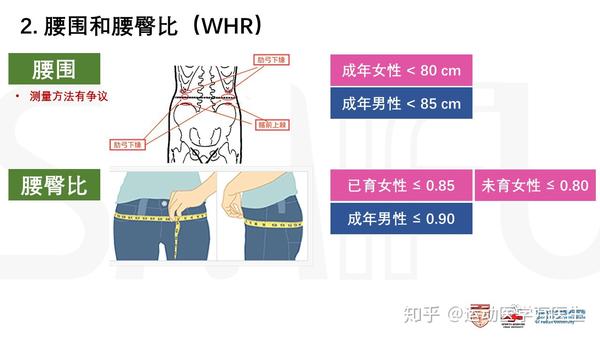 腰围和腰臀比是判断身材的一个标准.