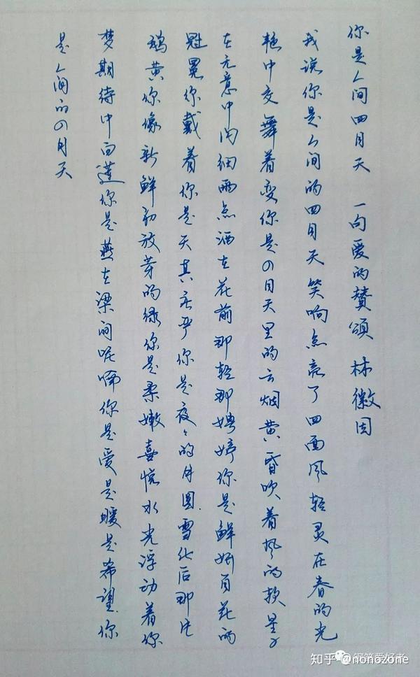 林徽因《你是人间四月天》钢笔字手写笔友钢笔书法