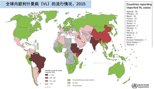 叙利亚的"食肉虫"国内也有?——利什曼病速览