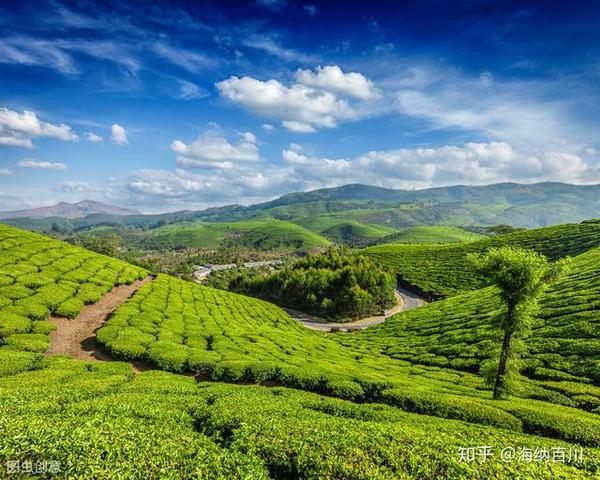 中国茶海也被称为:万亩茶海,永兴茶海.位于贵州省湄潭县永兴镇境内.