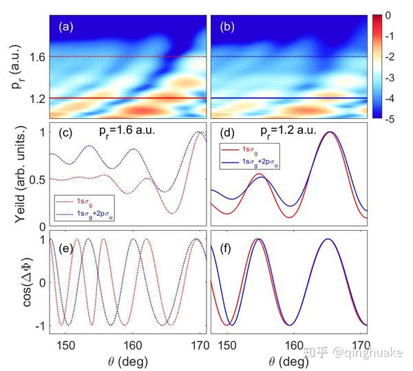 dynamics recorded by the 2d hologram in the pemds}