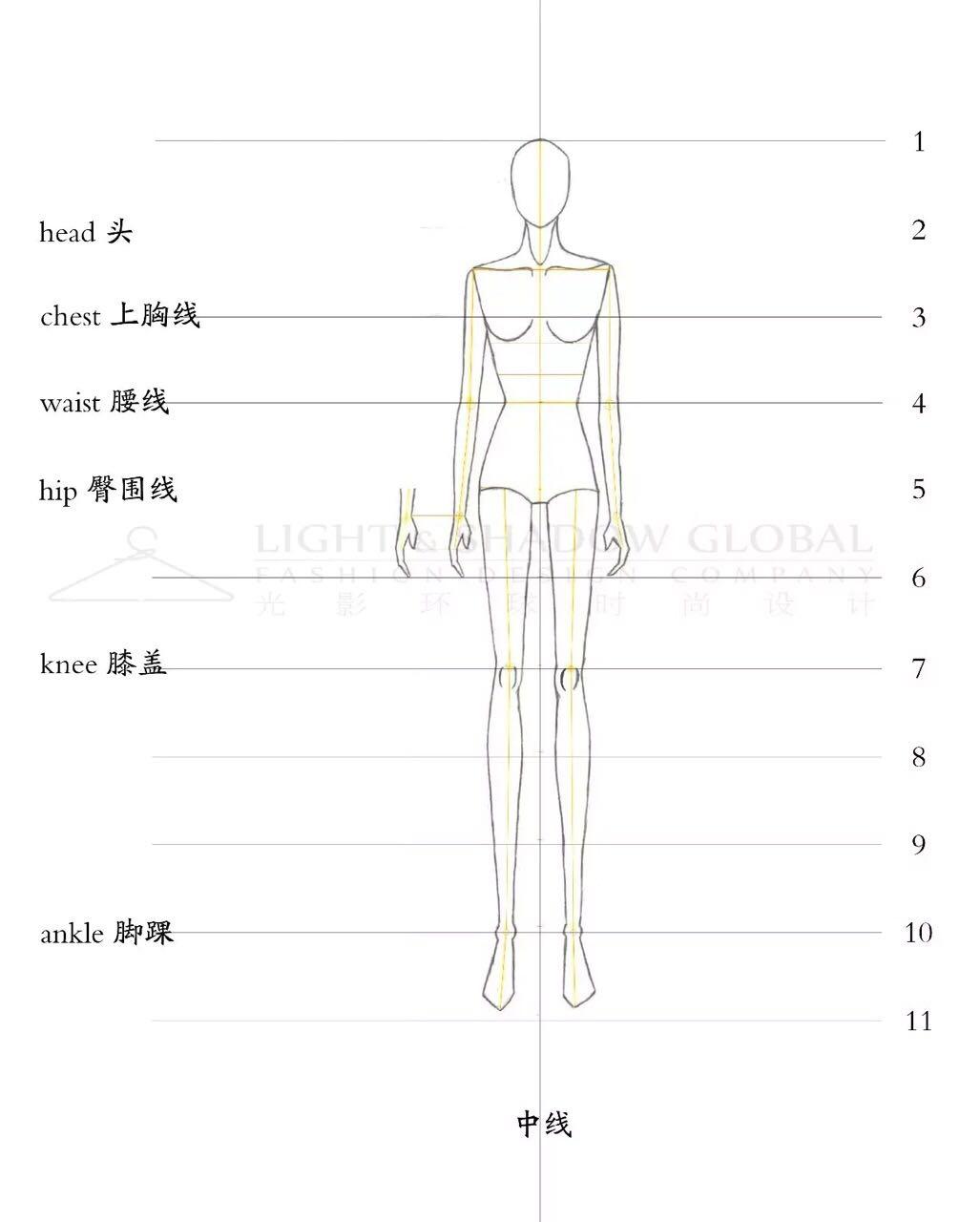 手绘教程经典|服装设计女性人体手绘教程