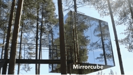 7间树屋 每间不重样 7间世界独一无二的树屋长啥样,马上来看—— 最