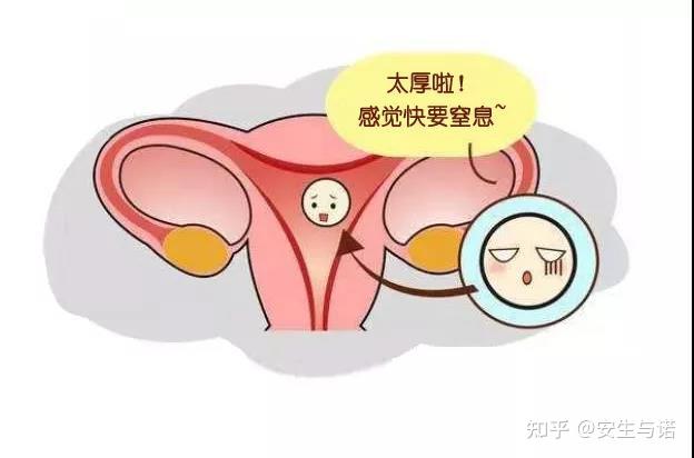 做试管婴儿,什么样的子宫内膜适合移植着床怀孕?