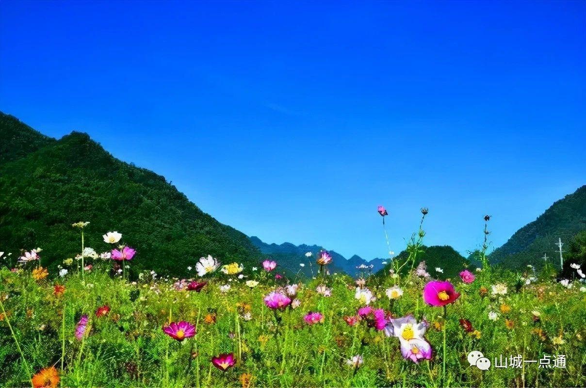 位置:重庆市城口县y005黄安坝高山牧场度假区是渝,川,陕,鄂旅游环线