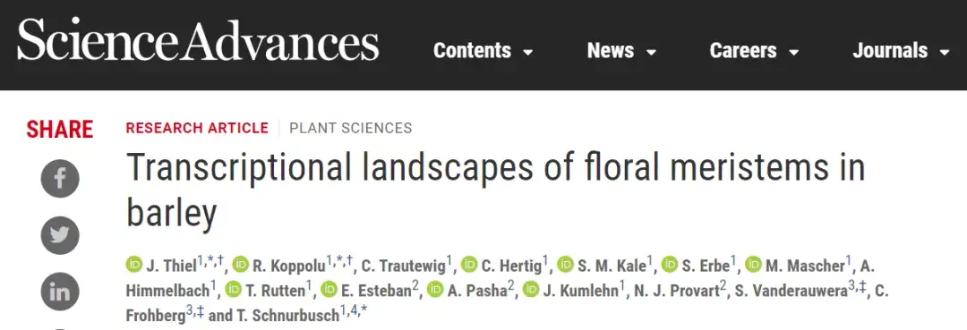 在线发表了题为transcriptional landscapes of floral meristems in