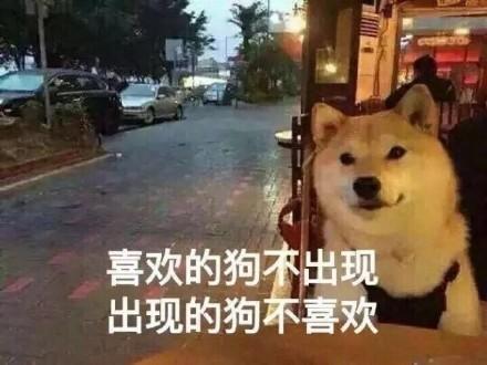 表情包:一个单身狗的故事,你一定要看,非常悲伤