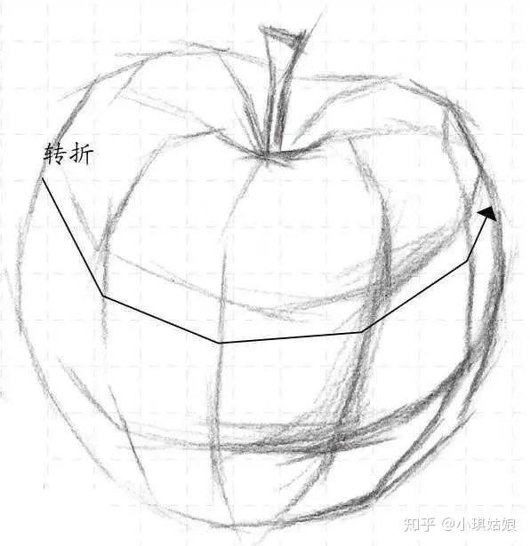 零基础素描pdf电子书教程:分步骤讲解苹果,梨素描画法