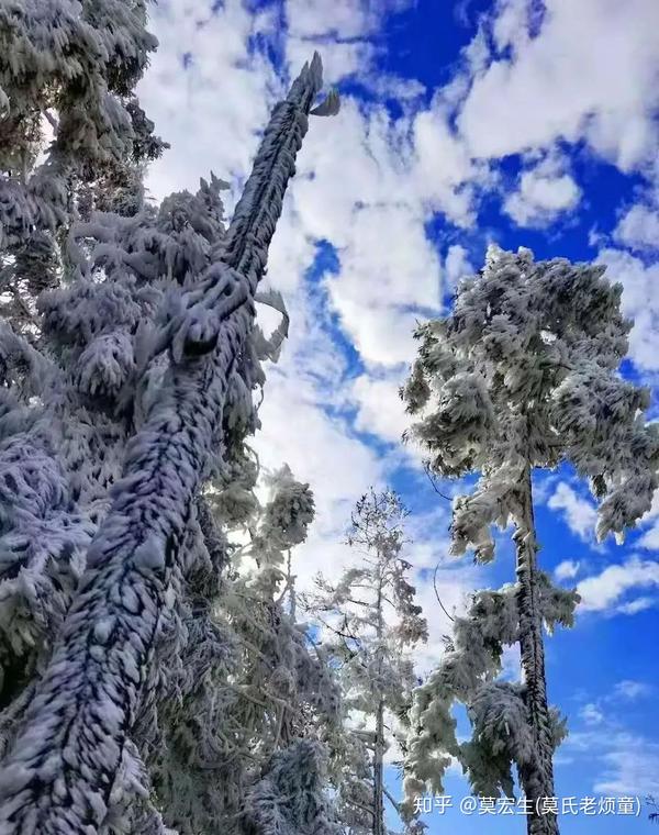 中国广西桂林资源县喜迎第二波雪景景色醉美人间