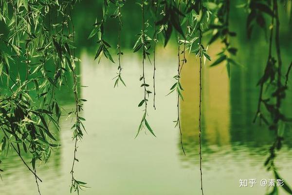 在意桃花谢去,春风不解风情.其实只是曾经拥有.