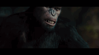 猩球崛起3不和你们人类玩了