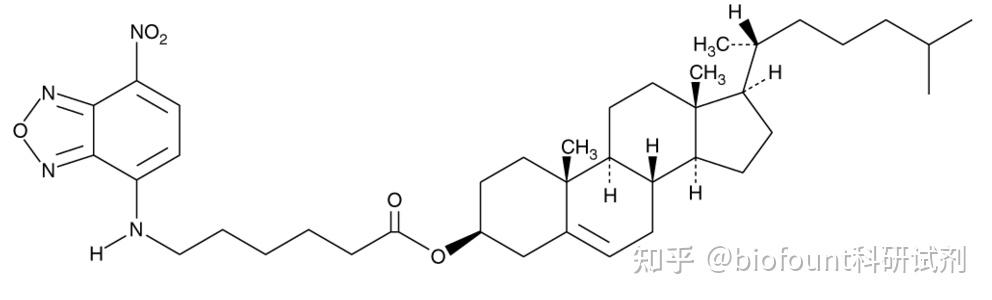 3 己酰基 NBD 胆固醇 知乎