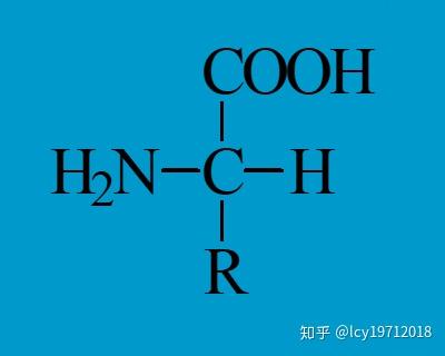 氨基酸的分类,性质与应用