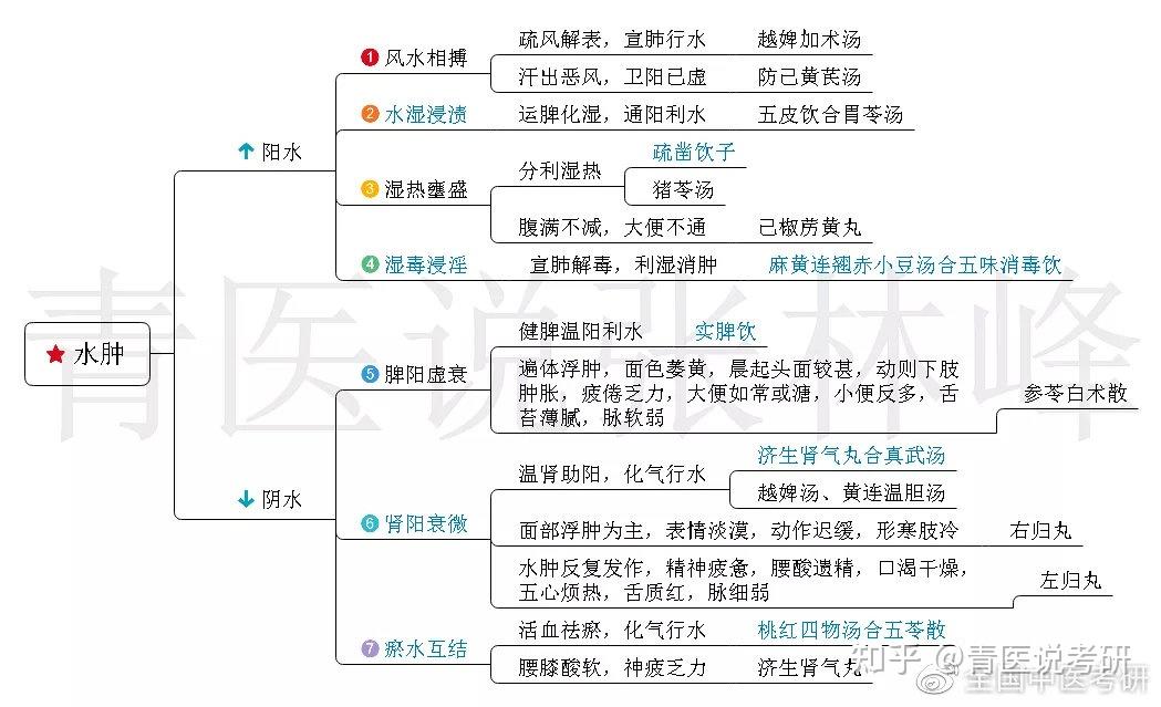 中医考研脱水干货中内55病证超全思维导图一篇用到考前