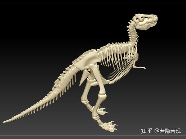 霸王龙骨架3d图下载恐龙骨骼3d图下载恐古化石骨头3d图下载