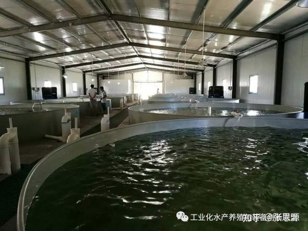 我们要养鱼我们也要环保工厂化水产养殖系统备受关注