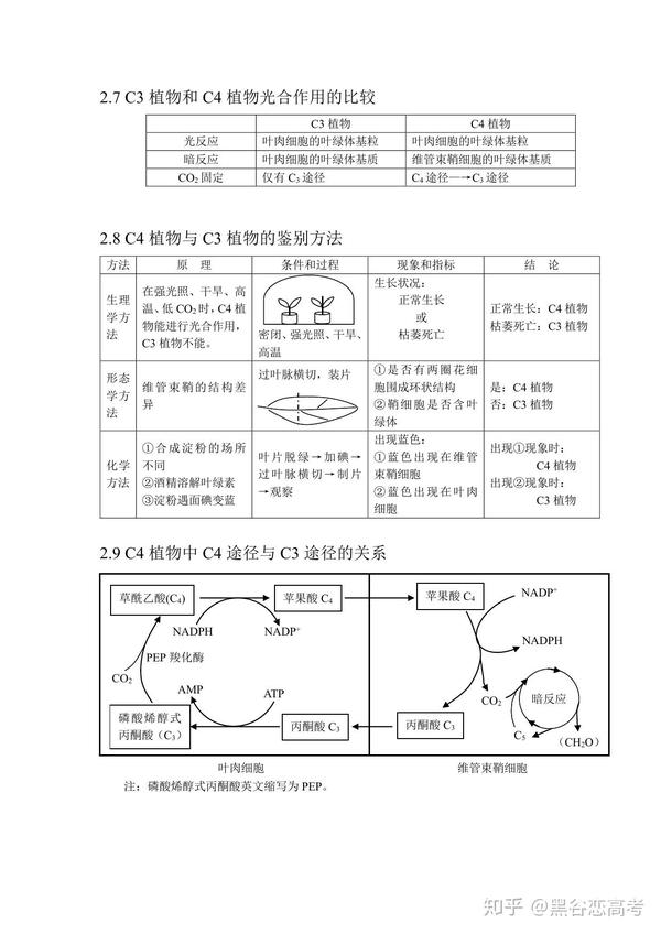 高考生物知识点专题光合作用atp生物固氮有氧呼吸无氧呼吸微生物类群