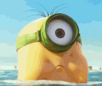 小黄人表情包干货派送