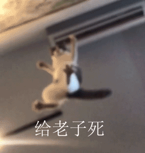 有哪些堪称有毒的表情包?
