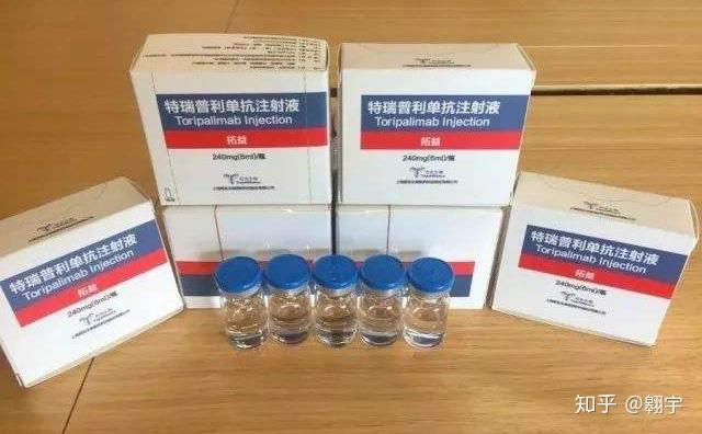 首个国产pd1抗体药物特瑞普利单抗注射液于12月17日获批上市有哪些