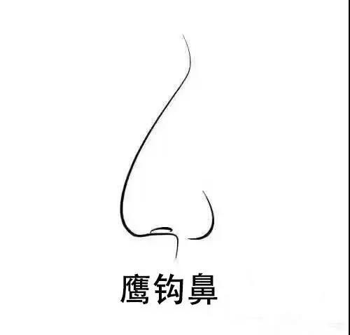 蒜头鼻,朝天鼻,鹰钩鼻该如何改善?
