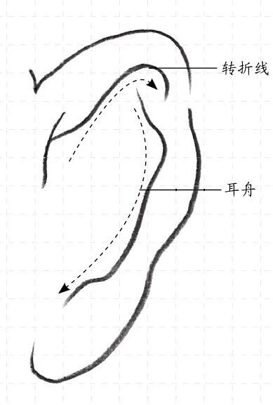 素描入门五官耳朵的画法步骤讲解