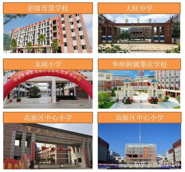 省级九年制育慧学校,大旺第三小学,龙湖小学,高新区中心小学 【中学】