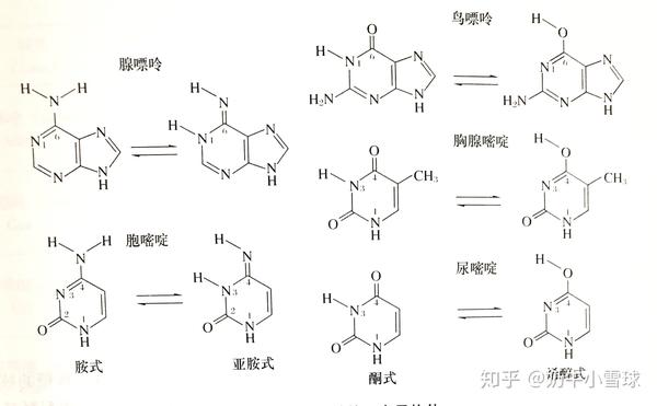 细胞我裂开了1